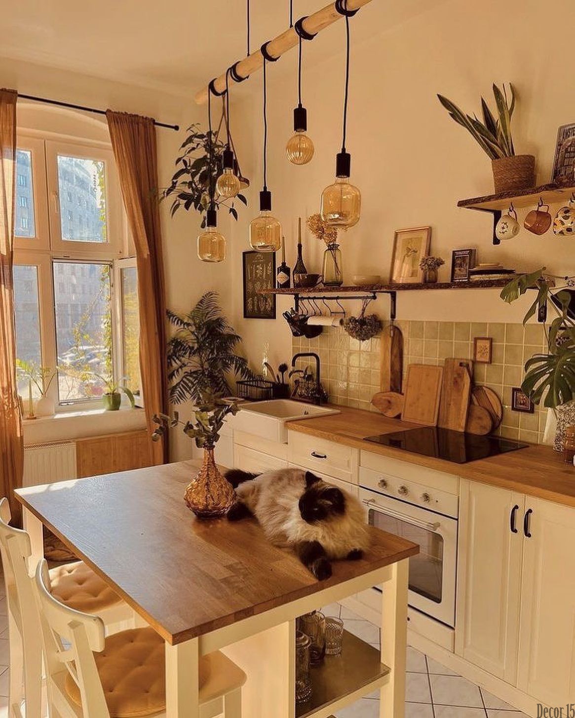 Cozy Bohemian Kitchen Design Idea 2024 